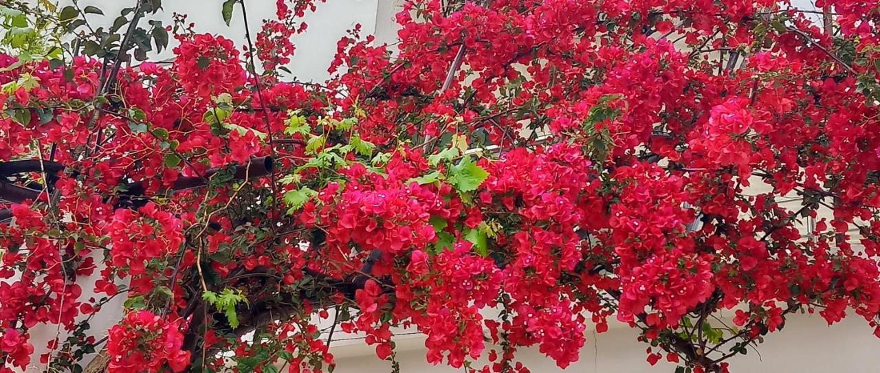 Stamatias Home, Fully Equipped Cottage 5 Minutes From The Sea Chania  Luaran gambar